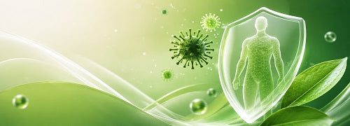 Immune support wellness banner featuring a protected human figure with shield effect, green botanical elements and clean health-inspired background symbolising natural immunity, wellness and body protection.