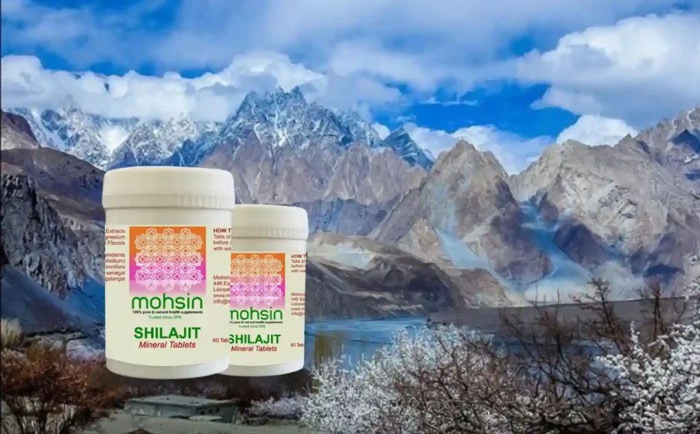 Shilajit Origins, Composition and Health Benefits