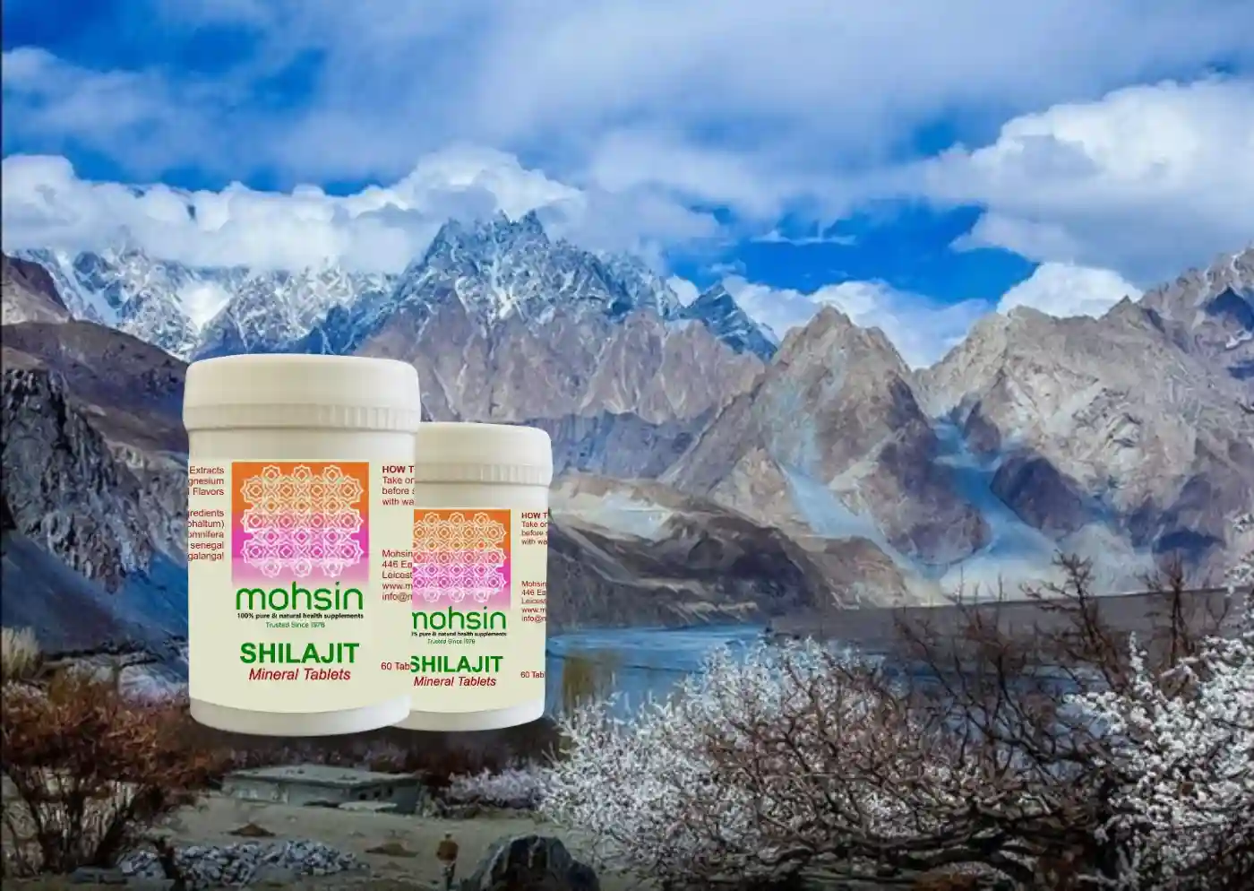 Shilajit Origins, Composition and Health Benefits