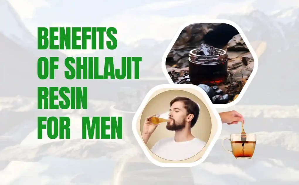 Shilajit Resin Benefits for Men