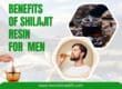 Shilajit Resin Benefits for Men