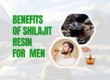 Shilajit Resin Benefits for Men