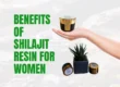 Shilajit Resin Benefits for Women