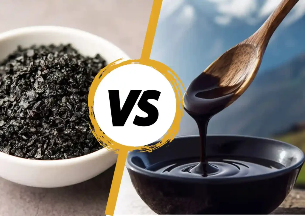 Shilajit Resin vs Extract